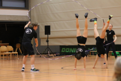 HandstandDD