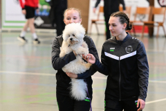 90_Sonstig_Hund_2