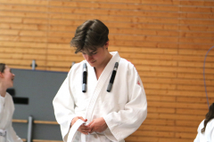 Judo_Auftritt